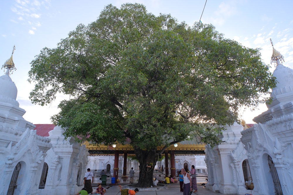 固都陶佛塔/Kuthodaw Pagoda/曼德勒山/曼德勒/緬甸