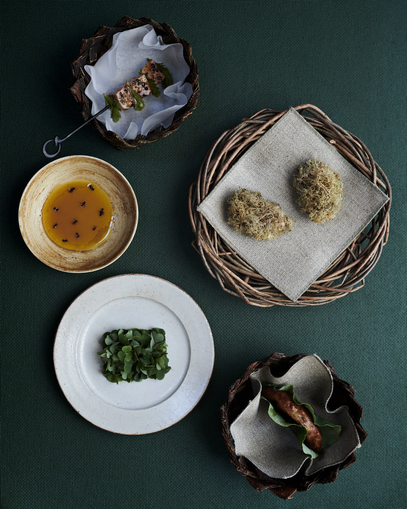 noma/Rene Redzepi/米其林/北歐料理/哥本哈根/丹麥