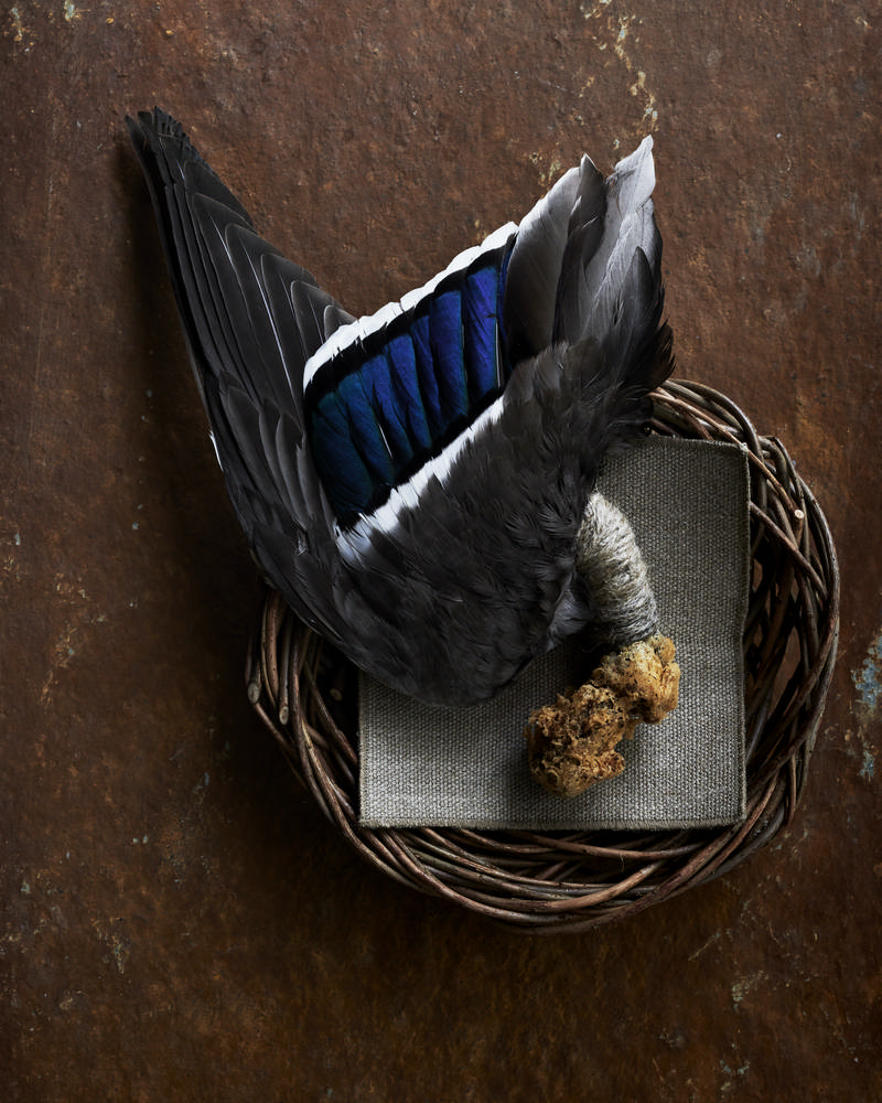 noma/Rene Redzepi/米其林/北歐料理/哥本哈根/丹麥
