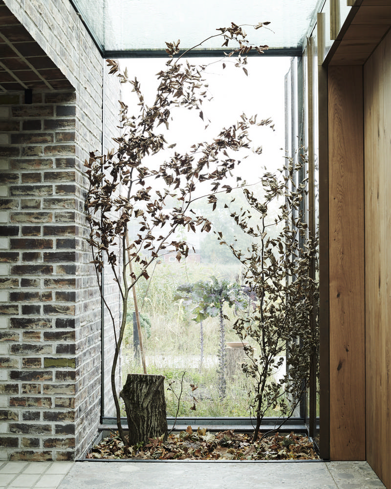 noma/Rene Redzepi/北歐料理/Bjarke Ingels/哥本哈根/丹麥