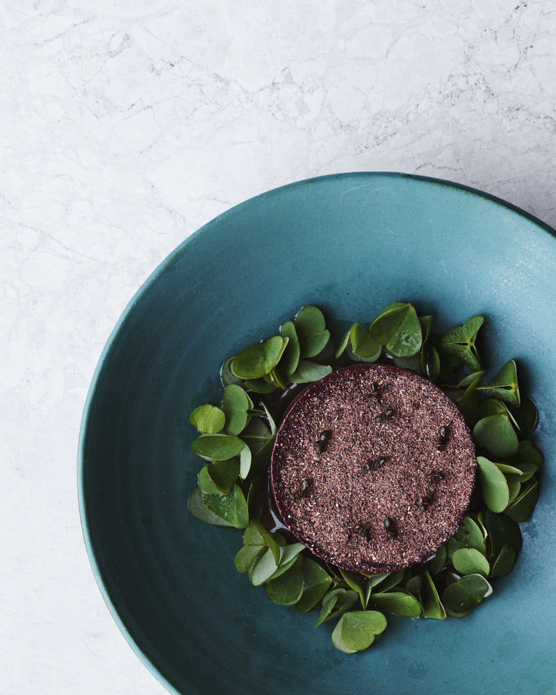 noma/Rene Redzepi/米其林/北歐料理/哥本哈根/丹麥