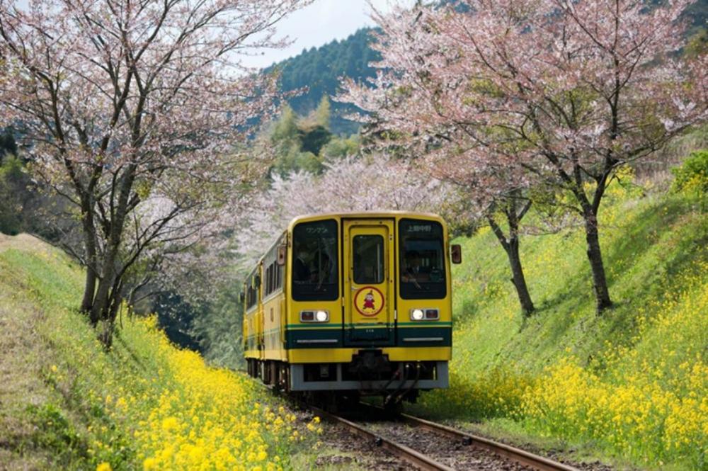 嚕嚕米列車