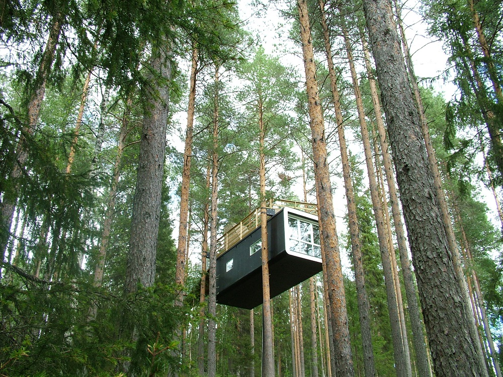 樹屋/Tree Hotel/瑞典