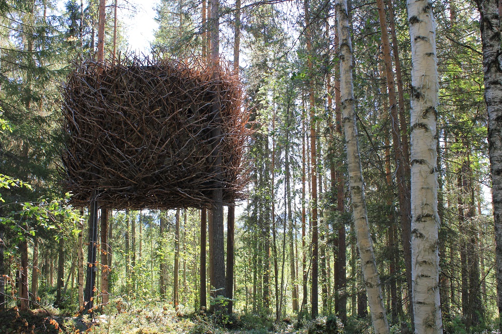 鳥巢/樹屋/Tree Hotel/瑞典