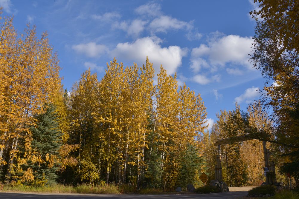 費爾班克斯_Chena Hot Springs Resort