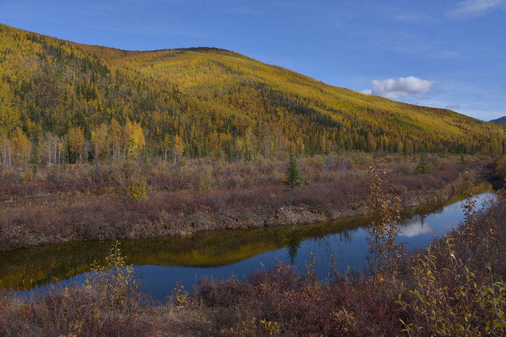 費爾班克斯_Chena Hot Springs Resort