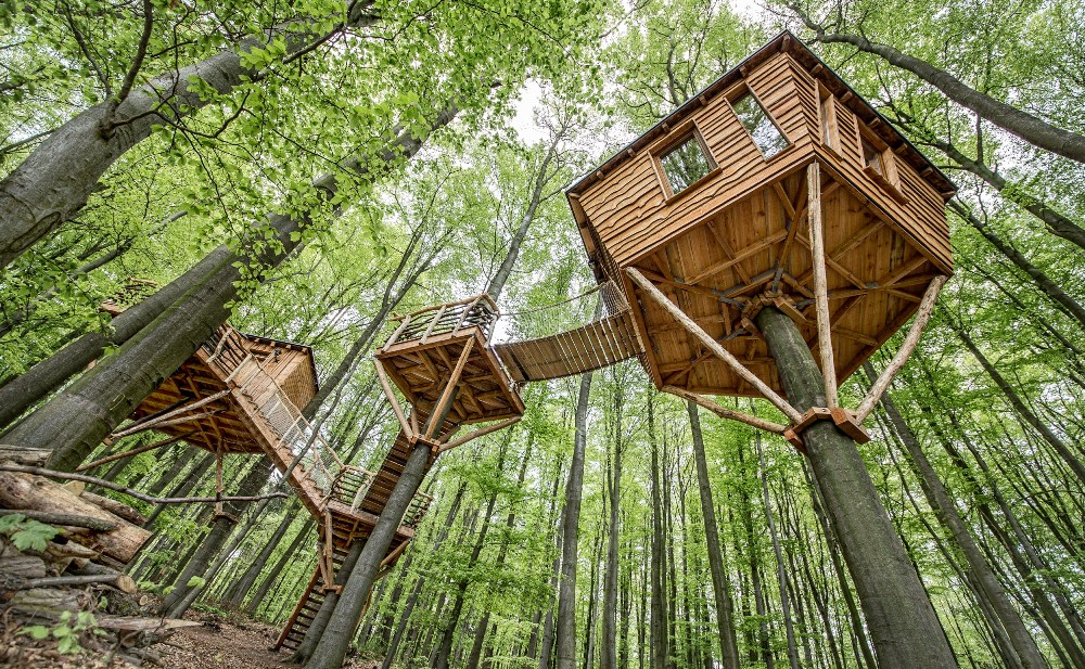 Baumhotel Robin's Nest/外觀/樹屋/德國