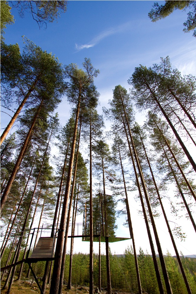 Treehotel/外觀/樹屋/瑞典