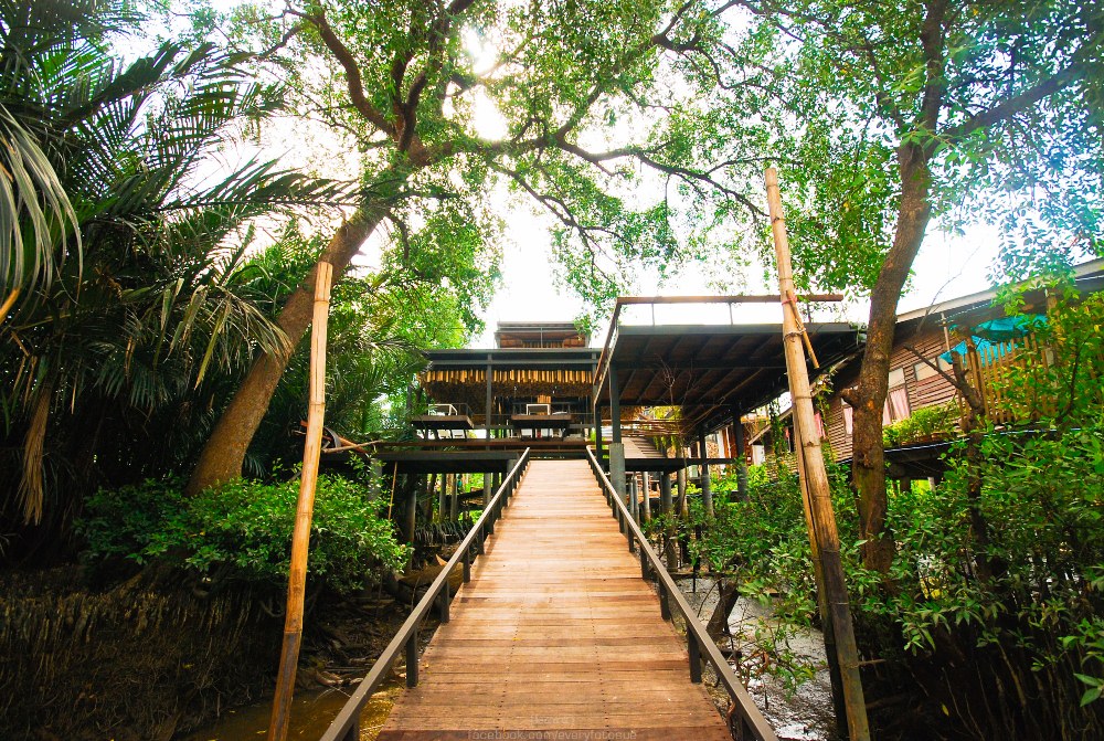 Bangkok Tree House/外觀/曼谷/泰國