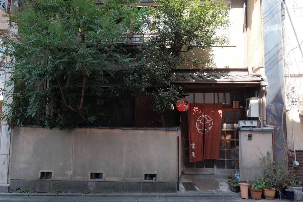 富多愛/富菊茶屋/京都/藝妓/祇園/観亀神社