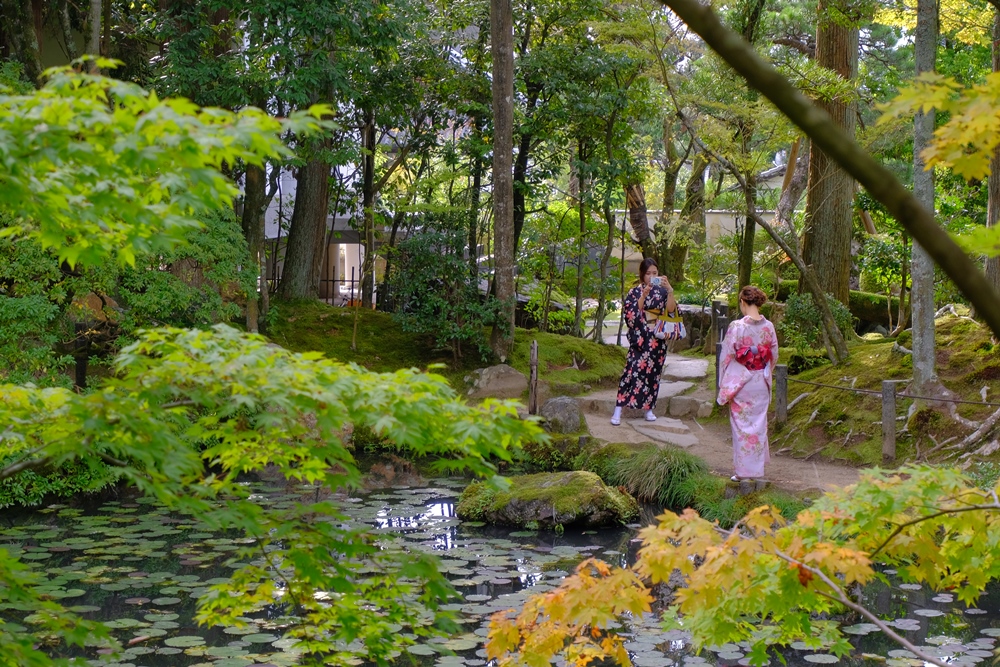 天授庵/京都/東山/岡崎/裏小路